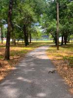 Casa con 2 Camere da Letto