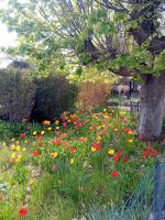 Rosalie Cottage - B&B
