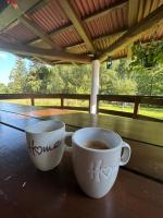 Cabana Briana - B&B Borşa