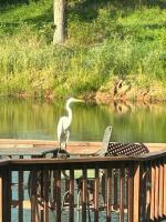 Small Home near Lake Fork with Stocked Pond - Ferienwohnung Emory