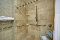 King Studio with Roll-In Shower - Mobility Access/Non-Smoking