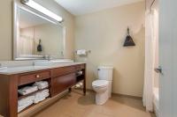 King Room with Sofa Bed and Bath Tub - Mobility Accessible