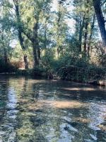 Azahares Apartamento turístico - B&B El Bosque