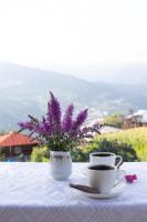 Oda - Chambres d’hôtes Khulo