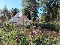 Glamping Kotitila Kiveinen - B&B Laitila