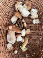 Chatka pod Lysou - Chambres d’hôtes Ostravice