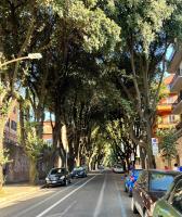 Circo Massimo Sweet Home - next to FAO - B&B Roma