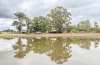 Country Home Stay, Animals, 2 Properties Sleeps 15 - B&B Balnarring