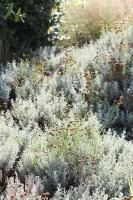 Mimizan Blue - Laid back luxury on the beach - B&B Mimizan