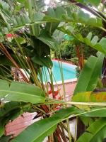 Saku Boutique Homestay - B&B Saraphi