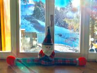 CASA CARCENTINA con giardino e sulla Pista Olimpica Stelvio 2026 - Ferienwohnung