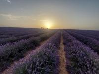 Suite con vistas a la montaña