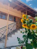 BOKAS EXOTIC HOUSE - B&B