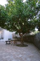 Armonia-Art House - B&B