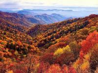 Whiskey Ridge Lodge, A Restored 1940s Gem, 2 Mins from Downtown, Breathtaking City Views, Custom Game Room, and Spacious Elegance - B&B Gatlinburg