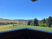 Pinewood Residence Premium Mountain View - B&B Zlatibor