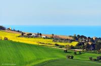 La Casa di Vandina - B&B Senigallia