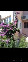 B&B Stari Grad - Jasna - Bed and Breakfast Stari Grad