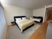 Superior Deluxe Double or Twin Room
