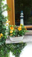 Cottage (2 Erwachsene + 1 Kind)