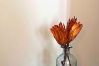 Le Grenoblois - Hypercentre - Ferienwohnung Grenoble