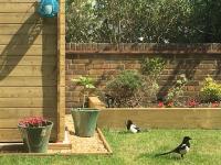 2 bedroom house with lovely garden and views - B&B Brighton