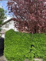 5min Airport - B&B