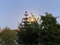 Villa Christine Chambre Rose - B&B Marchenoir