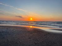 Lilly 5 Stars - B&B Grzybowo