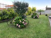 B&B Mirandela - Chelas Rural AL - Bed and Breakfast Mirandela