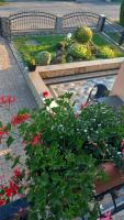 Camera Standard Matrimoniale/Doppia con Letti Singoli con Balcone