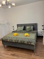 Apartment R&L Lazovná Apt 1 - city centre and free private parking - B&B Banská Bystrica