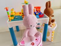 Legoland 5min HappyBunny-D'Pristine - Bed and Breakfast Iskandar Puteri