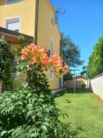 Apartment Lavanda - B&B