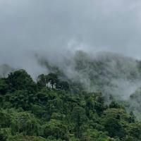 November พฤศจิกายน - B&B Ban Pha Mi