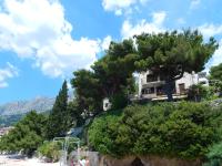 Villa Maristika - B&B