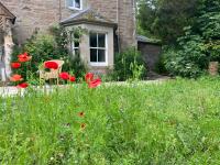Organic Welltree - Bed and Breakfast