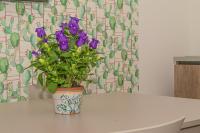 Apartment mit 2 Schlafzimmern