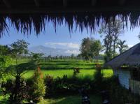 B&B Tetebatu - New Rinjani Homestay - Bed and Breakfast Tetebatu