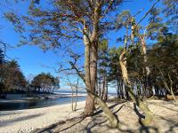 Villa Norda Dębki - Chambres d’hôtes Dębki