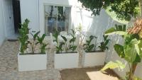Cosy House La Marsa - B&B La Marsa