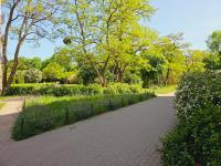 Sweet Dream - Bed and Breakfast Gdansk