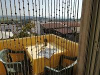 Casa Fenice - B&B Marinella