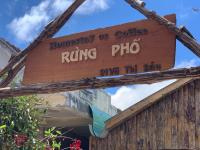 B&B Kon Plong - Rừng Phố Homestay And Coffee - Bed and Breakfast Kon Plong