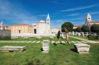 Vila Irina - Bed and Breakfast