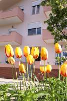 B&B Pogradec - Turka Lake House - Bed and Breakfast Pogradec