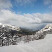 Bungalow de un dormitorio