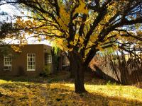 Casa TATIZ • Privacy in a Southwestern Gem - Chambres d’hôtes Santa Fe