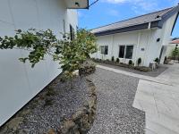 Baerongnamu Private Stay - B&B Seogwipo