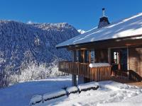 Chalet Domisiladoré - chalet haut de gamme pour 10 adultes et 2 enfants à Châtel - Chambres d'hôtes Châtel